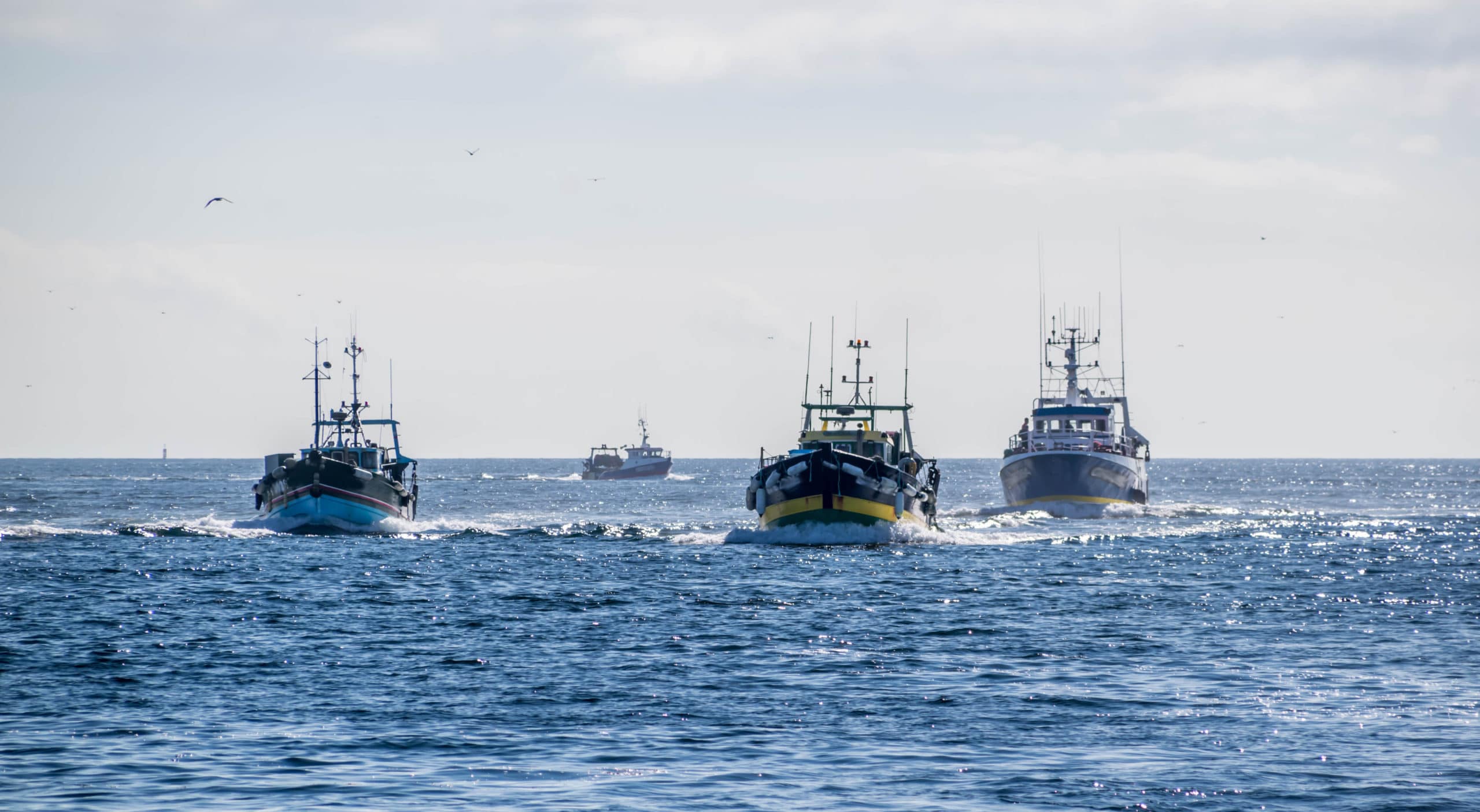 LocaLise Guilvinec Bateaux de peche localisevacances.fr - Accueil Back,From,Fishing,,Trawlers,In,The,Port,Of,Guilvinec,,In cinq_bonnes_raisons